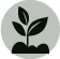 landscape preparation